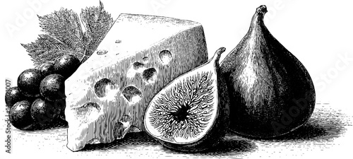 Elegant engraved illustration of cheese platter with figs and grapes for culinary design