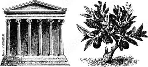 Engraved illustration of civic building and olive tree for design projects