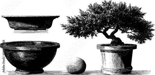 Engraved bonsai tree and zen objects illustration for meditative design