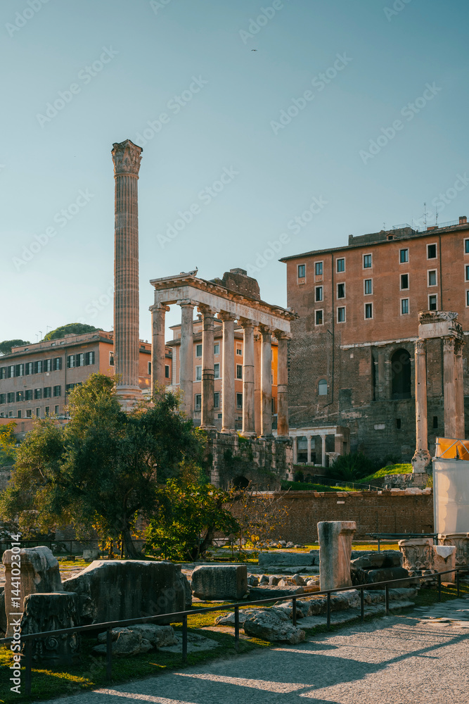 The Roman Forum, also known by its Latin name Forum Romanum, is a rectangular forum surrounded by the ruins of several important ancient government buildings at the centre of the city of Rome. Citizen