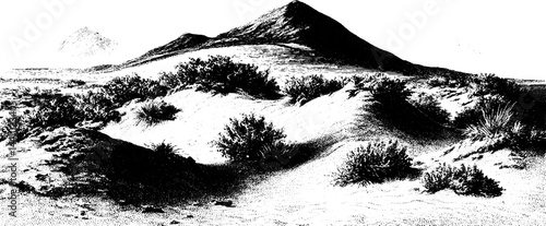 Engraved illustration of desert sand dune ridge with vegetation set