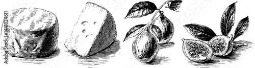 Vintage engraved illustration of goat cheese and olives for culinary design projects