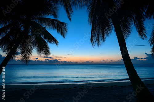 sunset on the beach with palm trees