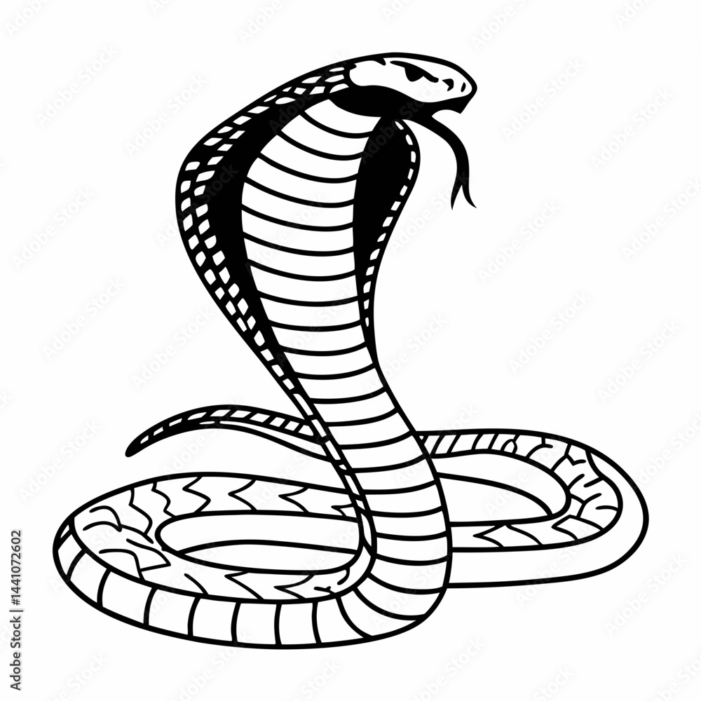 Fototapeta premium vector illustration of a snake