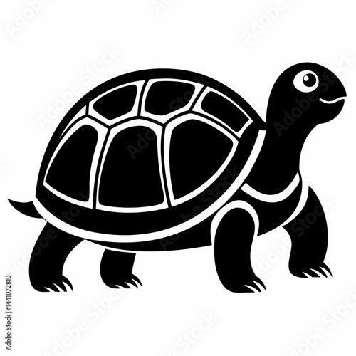 vector illustration of turtle