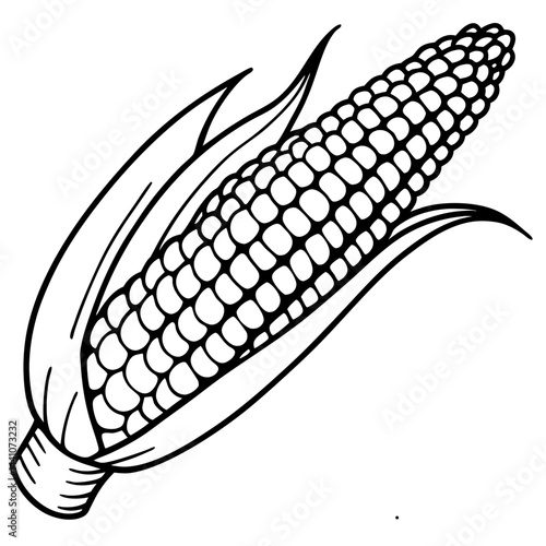 ear of corn