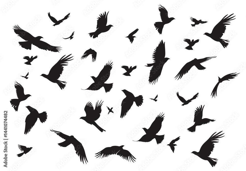 Obraz premium Silhouetted birds soaring against a white backdrop, conveying freedom and graceful movement.