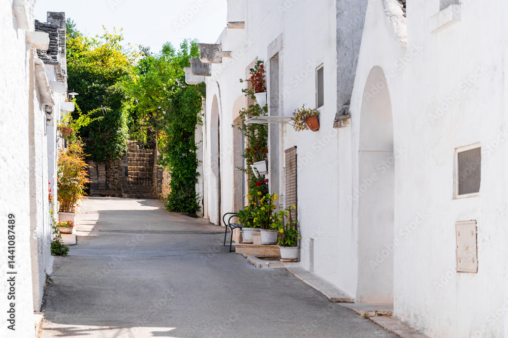 Fototapeta premium Peaceful narrow street with whitewashed houses and potted plants lining the walls in Alberobello, Italy. Green plants and flowers contrast beautifully with clean white facades