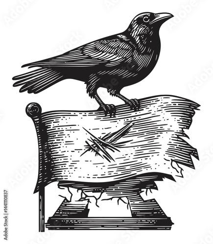 Vintage Hand-Drawn Illustration of Crow on Torn Banner