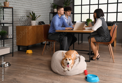 Business people with Corgi ...