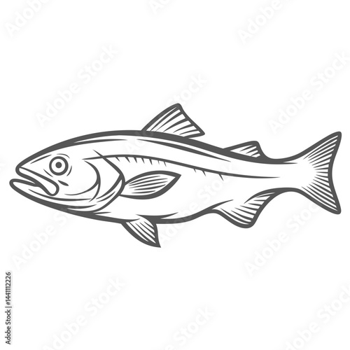 Atlantic Pollock Fish Line Art Illustration