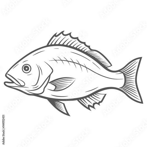 Yellowtail Snapper Line Art Vector Illustration