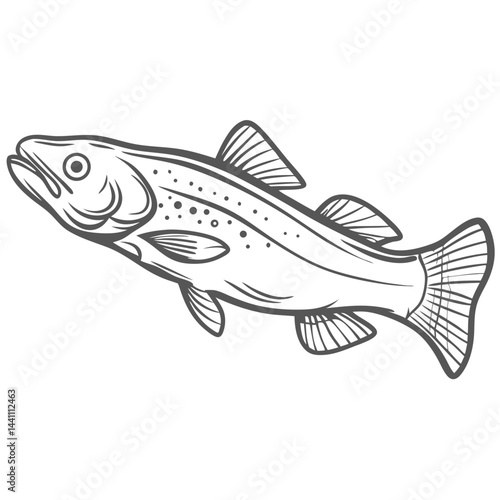 Atlantic Cod Fish Line Art Illustration