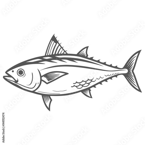 Albacore Tuna Fish Vector Illustration