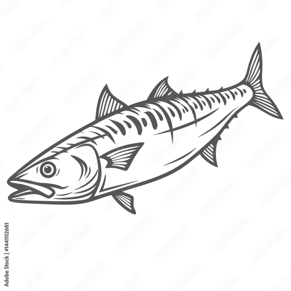 King Mackerel Fish Line Art Illustration King Mackerel Fish Line Art Illustration