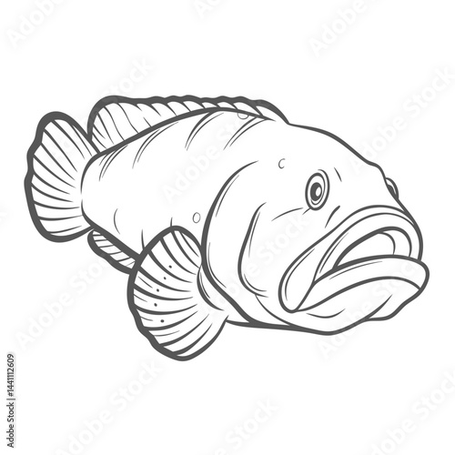 Goliath Grouper Outline Illustration - Epinephelus itajara