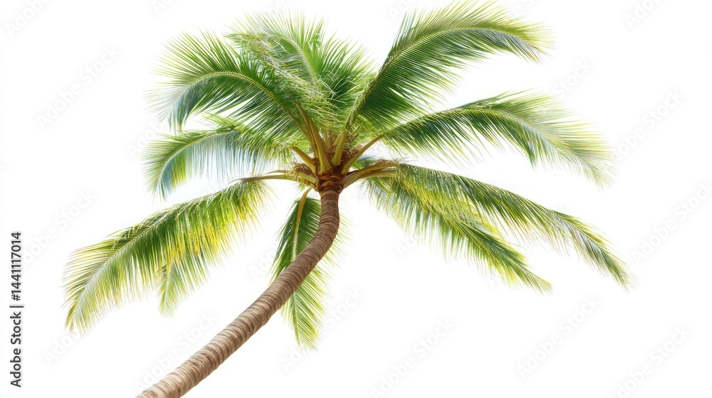 Fototapeta premium Tropical Palm Tree Swaying in Breeze, White Background, Vacation Use