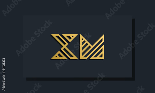Elegant line art initial letter XM logo.