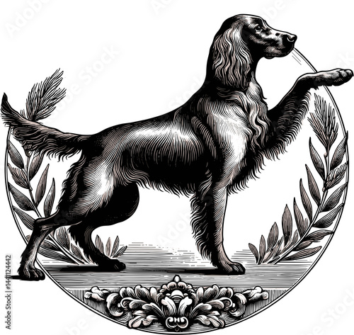 English Setter dog posing elegantly in vintage illustration style  