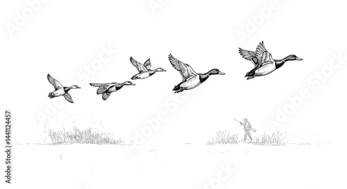 Ducks flying in formation with hunter in the background  