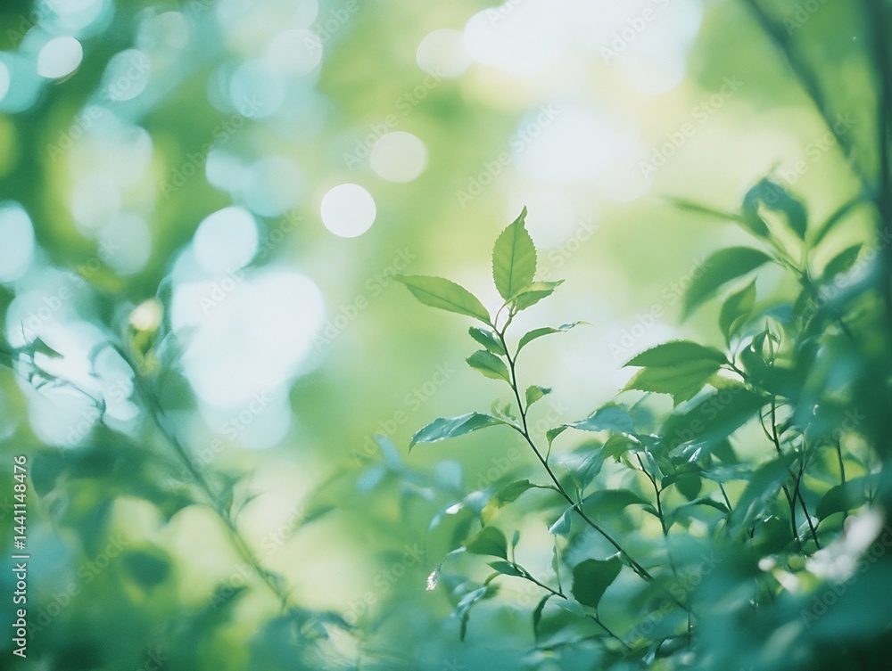 Close-up Photograph of Green Leaves and Branches Close-up Photograph of Green Leaves and Branches