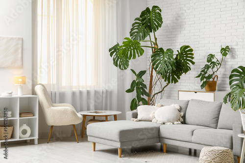 Wallpaper Mural Monstera houseplants, sofa, shelving unit, armchair and coffee table in interior of living room Torontodigital.ca