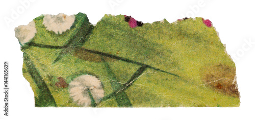 Piece of old vintage green paper with floral print, torn page from retro children's magazine