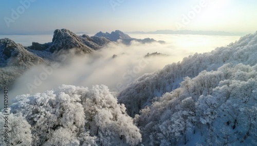 Wallpaper Mural Snowy mountain peaks emerging from a sea of clouds.  Frozen forest blanketed in a thick layer of snow Torontodigital.ca