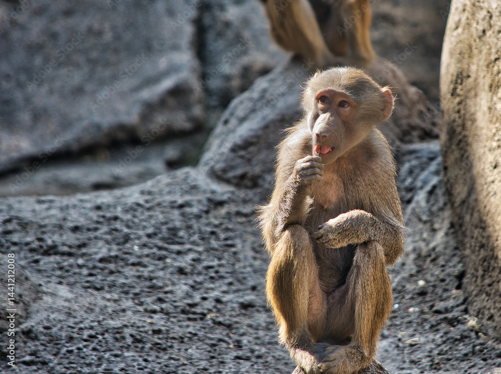 Naklejka premium street photo