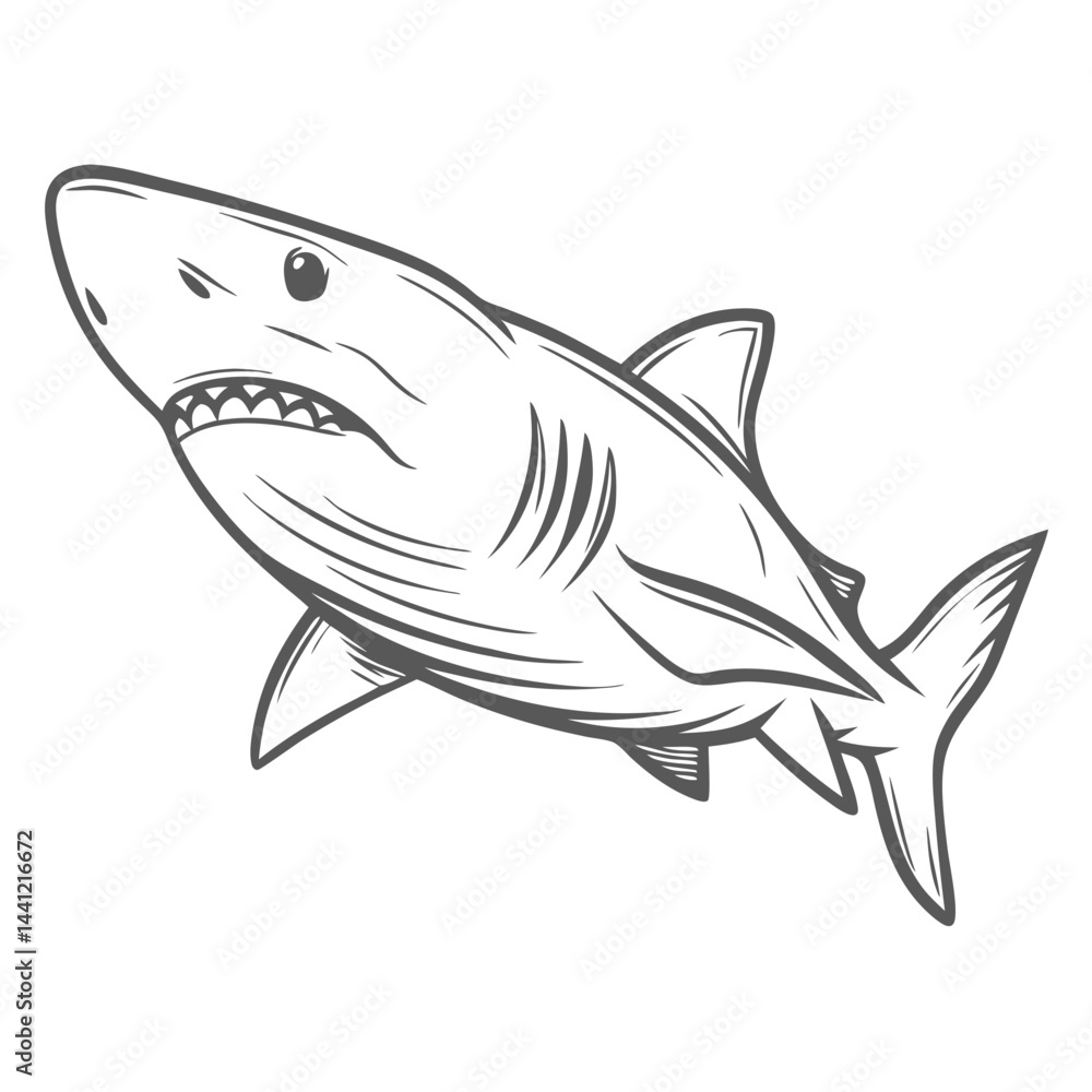 Great White Shark Outline Illustration, Carcharodon Carcharias Great White Shark Outline Illustration, Carcharodon Carcharias
