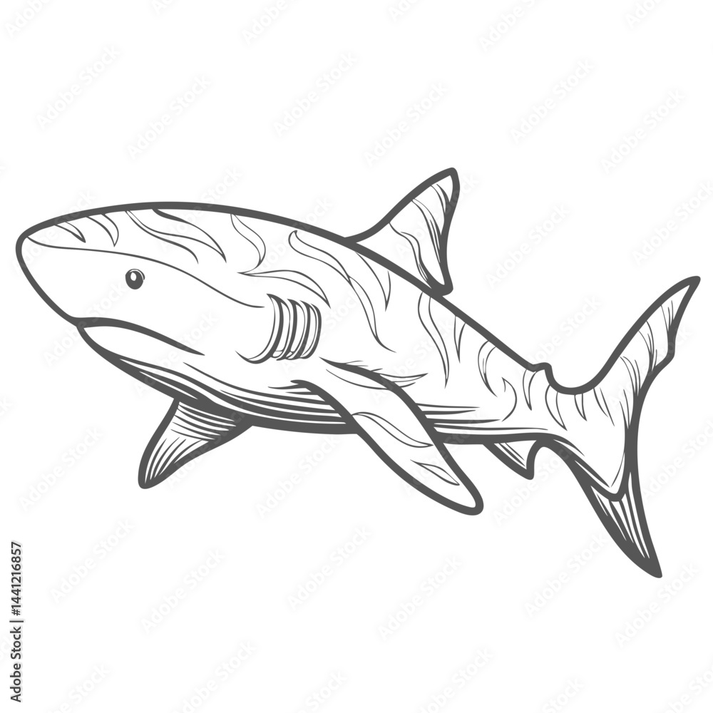 Fototapeta premium Tiger Shark Line Art Illustration Vector