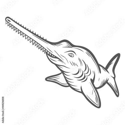 Smalltooth Sawfish Illustration, Pristis Pectinata, Outline
