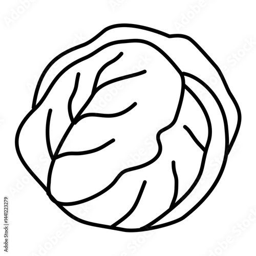 Hand Drawn Cabbage Doodle