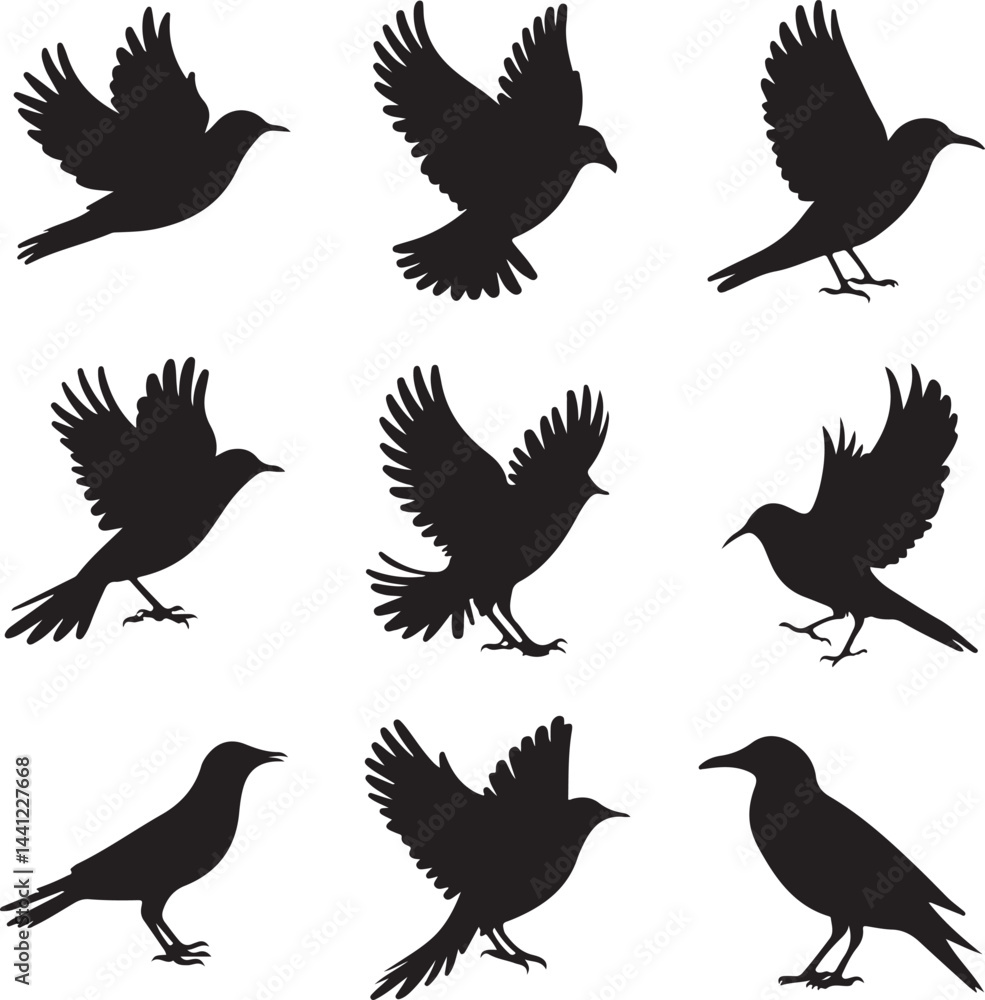 Fototapeta premium A collection of black bird silhouettes in various flying and perched positions, displayed on a white background