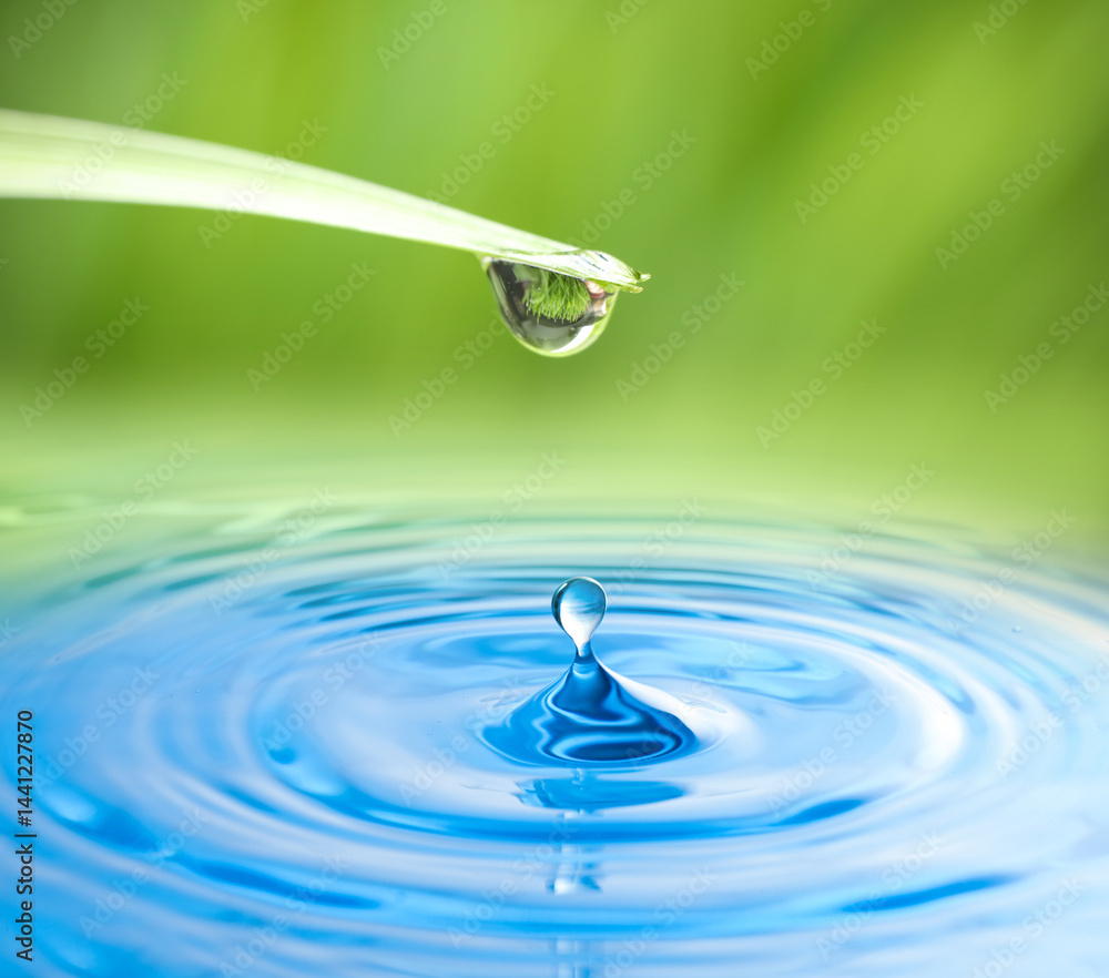 Drops falling from green leaf into water on blurred green background, closeup Drops falling from green leaf into water on blurred green background, closeup