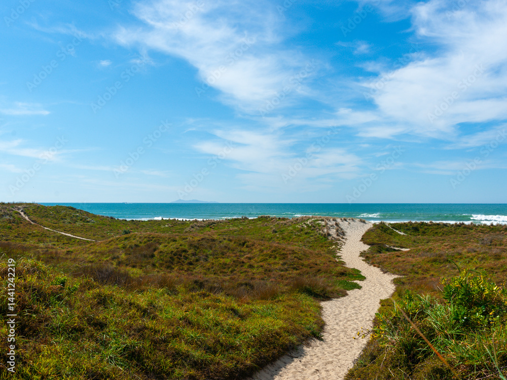 Sand path leads through dunes to beach and sea at Papamoa