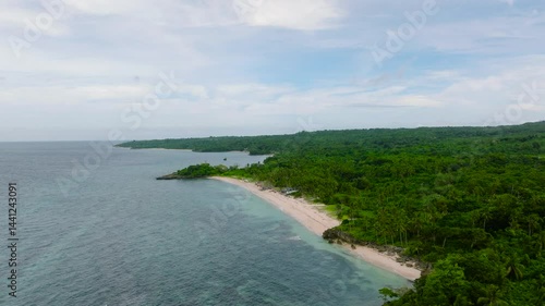 Wallpaper Mural Coastline with white sandy beaches and greenery forest under the blue skies. Carabao Island, Romblon, Philippines. Torontodigital.ca