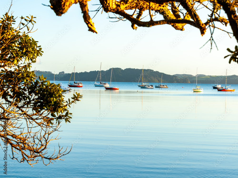 Algies Bay in Northland beautiful view across bay in morning light
