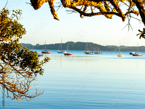 Obraz na płótnie Algies Bay in Northland beautiful view across bay in morning light w salonie