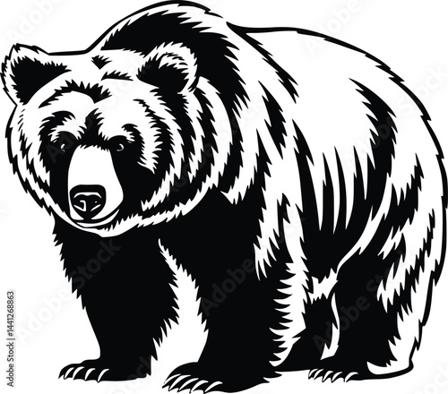 Black and white bold vector of a grizzly bear, isolated on white background.