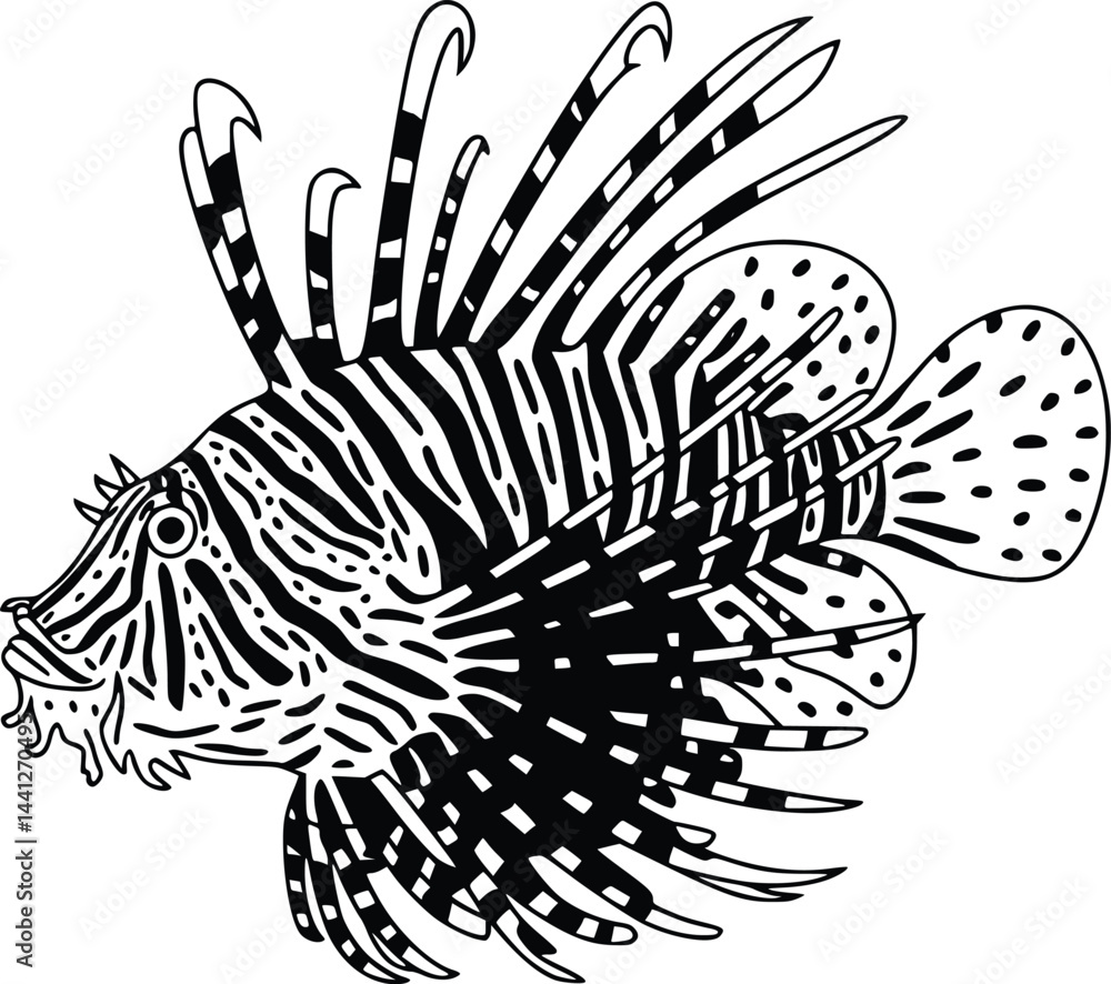 Black and white bold vector of a lionfish spines spread, isolated on white background. Black and white bold vector of a lionfish spines spread, isolated on white background.