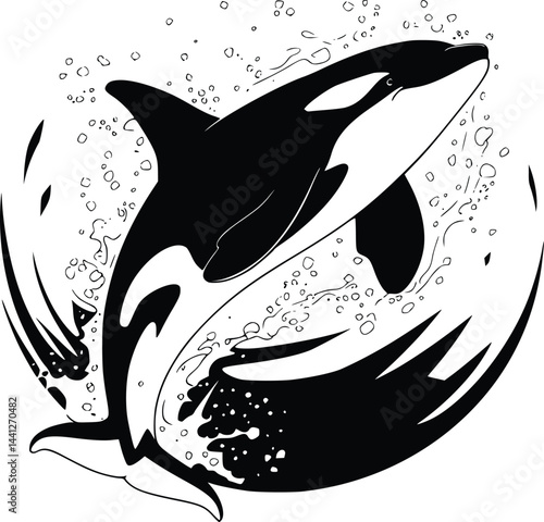 Black and white bold vector of a orca breaching, isolated on white background.