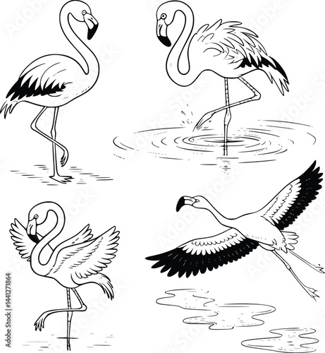 Bold black and white hand-drawn illustrations of 4 elegant flamingos doodling standing on one leg, wading in water, preening feathers, and flying over lakes, isolated on white.