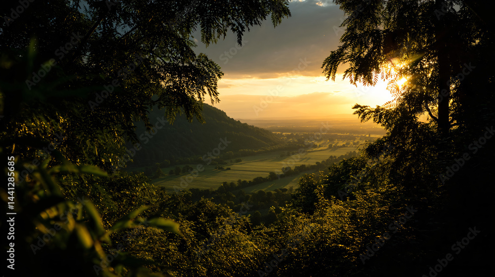 Golden sunset over a lush green valley framed by trees.