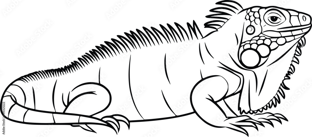 Black and white bold vector of a iguana resting, isolated on white background. Black and white bold vector of a iguana resting, isolated on white background.