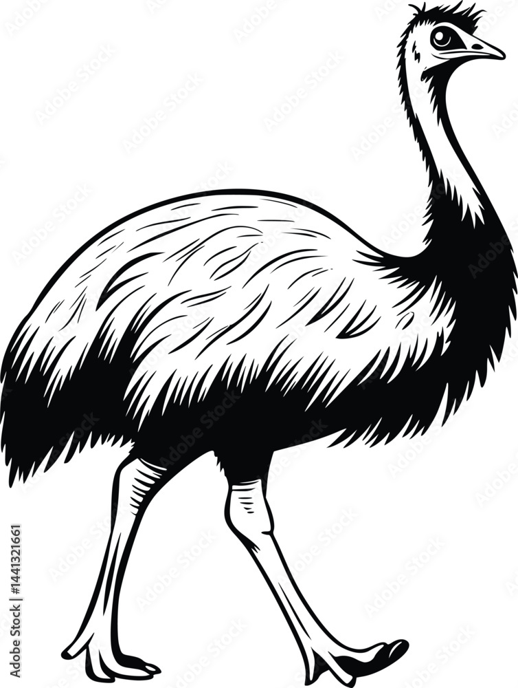 Black and white bold vector of a emu walking, isolated on white background. Black and white bold vector of a emu walking, isolated on white background.
