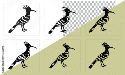 Bird set black, nature, background, white, drawing, animal, hoopoe, wildlife, bird, beautiful, fauna, beak, feather, creature, colorful, wild, wing, Hud, coast, clawed, pointed, bill,  crest, ex