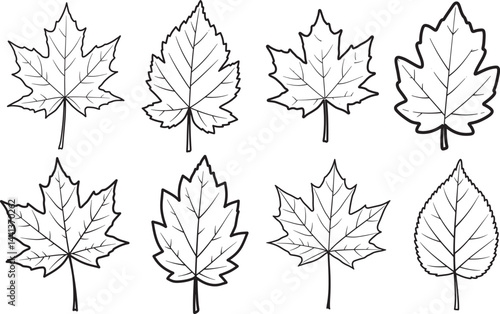 Outline Vector Illustrations of Various Deciduous Tree Leaves Including Maple Shapes Perfect for Line Art Designs