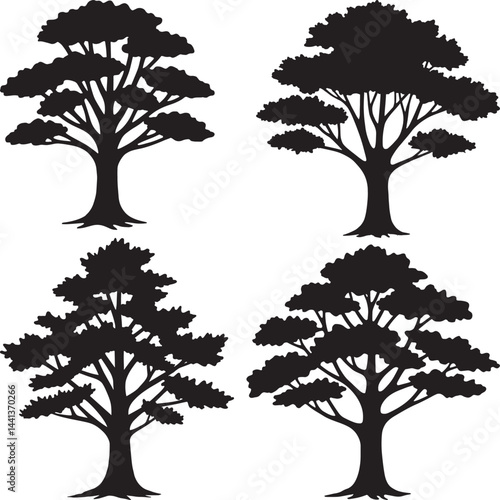 Set of Four Vector Silhouettes of Mature Broadleaf Deciduous Trees with Dense Foliage