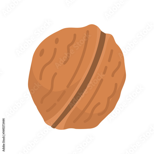 Walnut vector flat icon. Cartoon illustration of whole nut in shell and kernel.